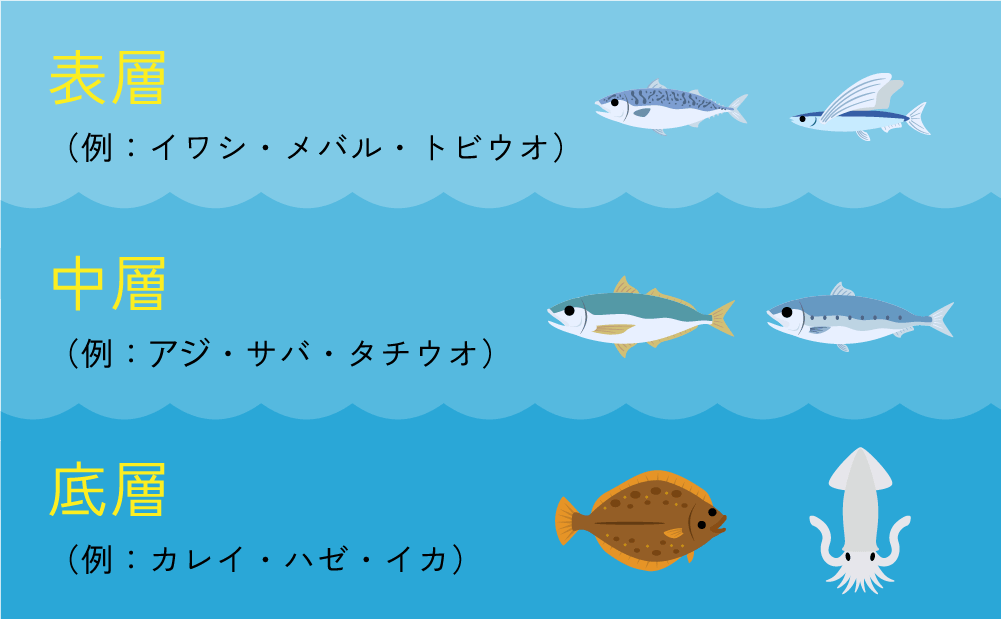 タナの例を示したイラスト。表層はイワシ、メバル、トビウオ。中層はアジ、サバ、タチウオ。底層は。底層はカレイ、ハゼ、イカ。