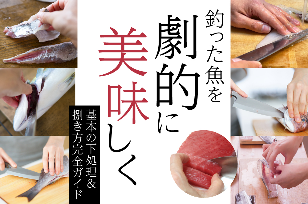 釣った魚を劇的に美味しく！基本の下処理＆捌き方完全ガイド