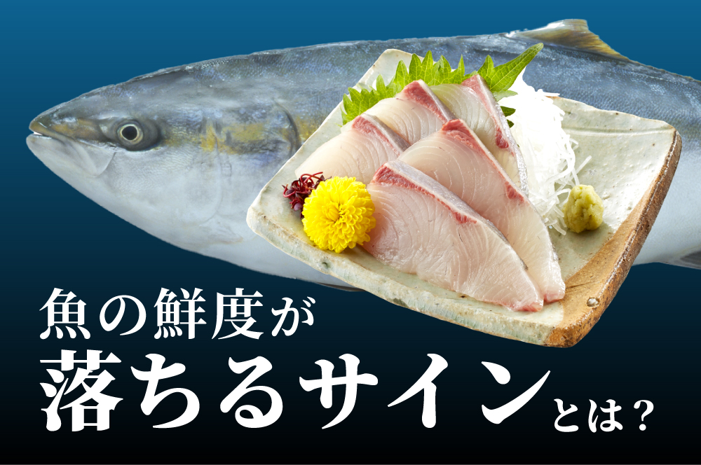 魚の鮮度が落ちるサインとは？見た目・臭い・触感で見分けるコツ