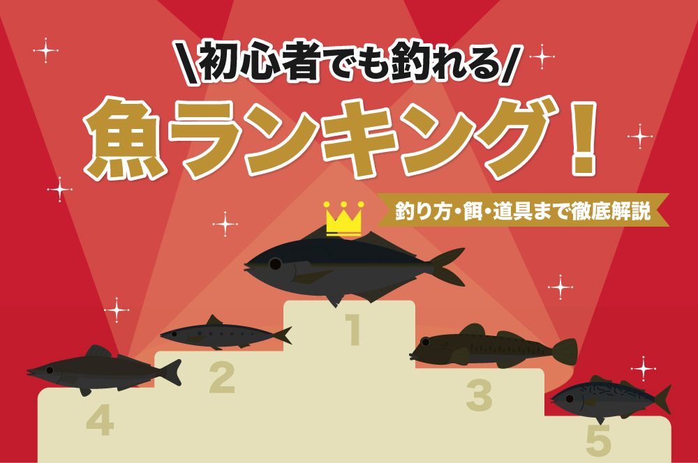 初心者でも釣れる魚ランキング！釣り方・餌・道具まで徹底解説