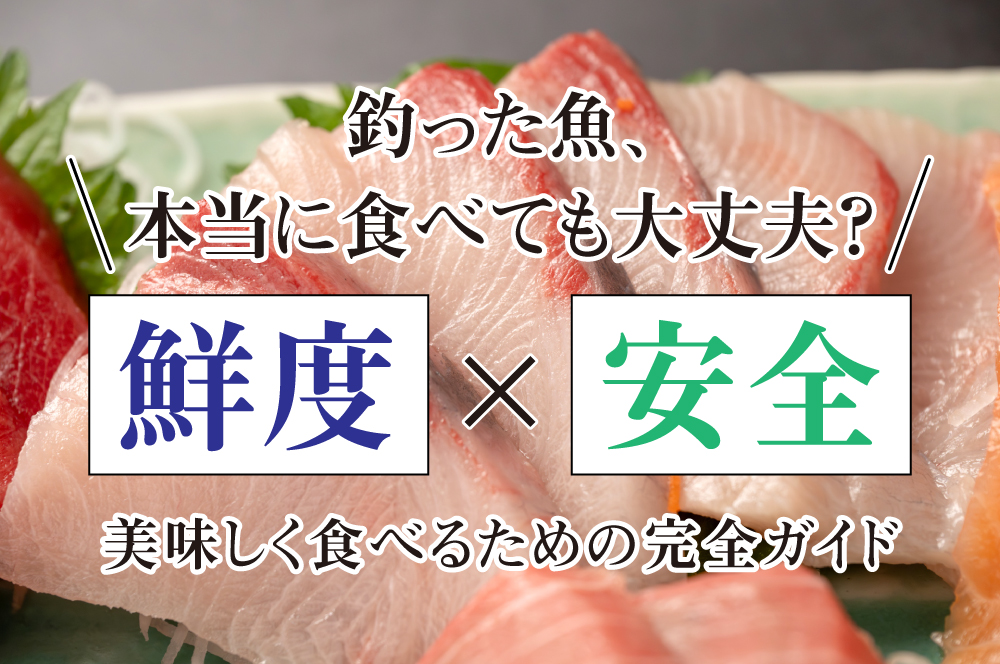 釣った魚、本当に食べても大丈夫？鮮度・安全・美味しく食べるための完全ガイド